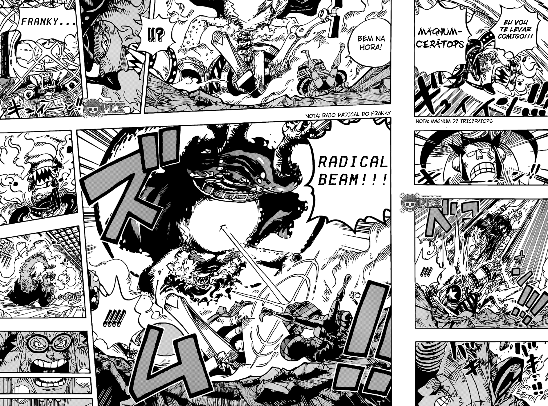 One Piece capítulo 1019 página 17