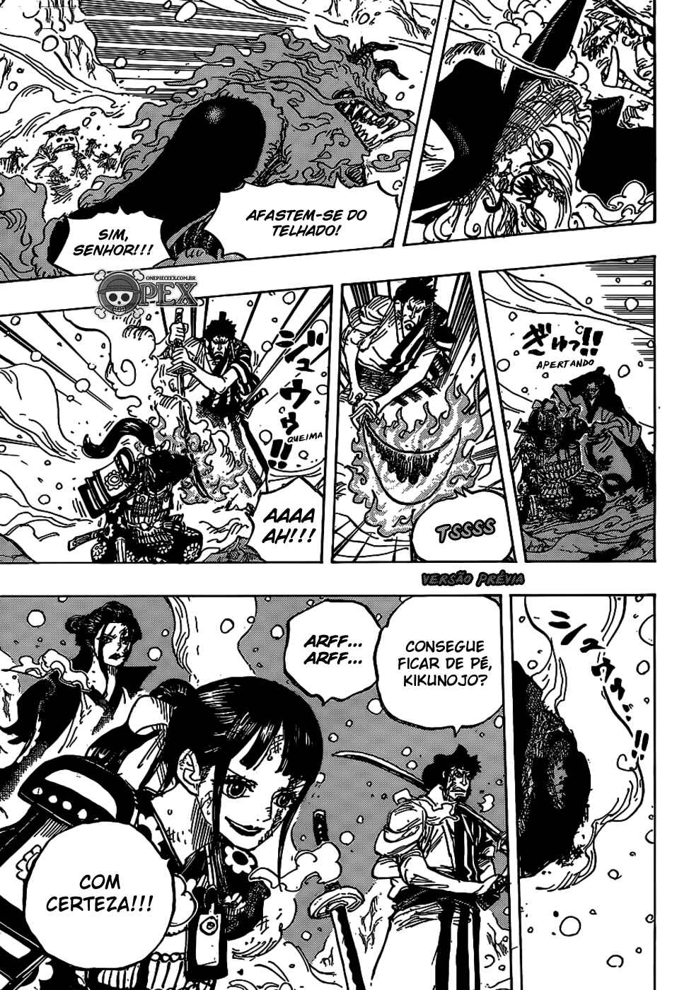 One Piece capítulo 994 página 3
