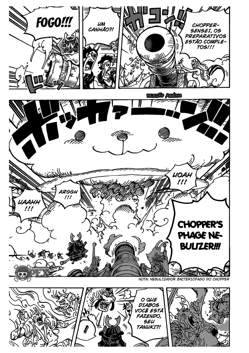 One Piece capítulo 1007 página 9