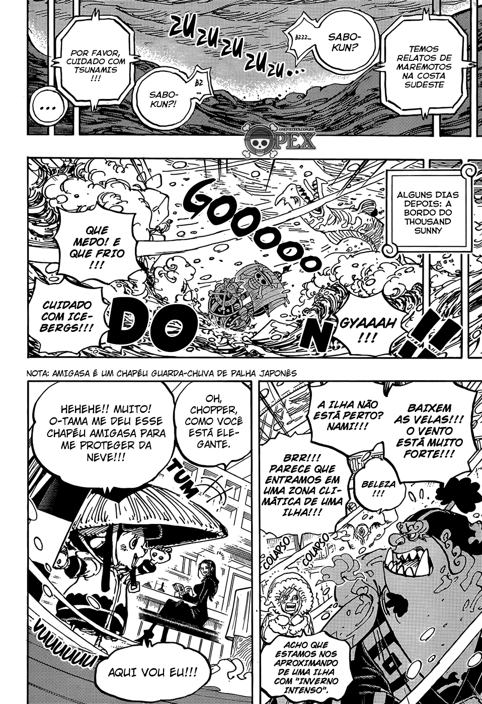 One Piece capítulo 1060 página 14