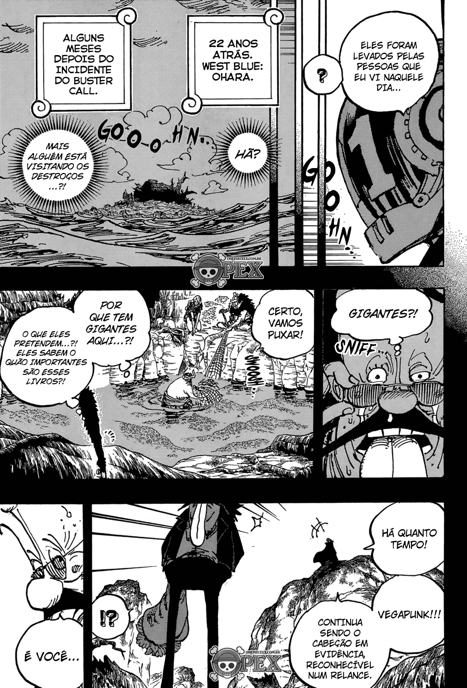 One Piece capítulo 1066 página 9
