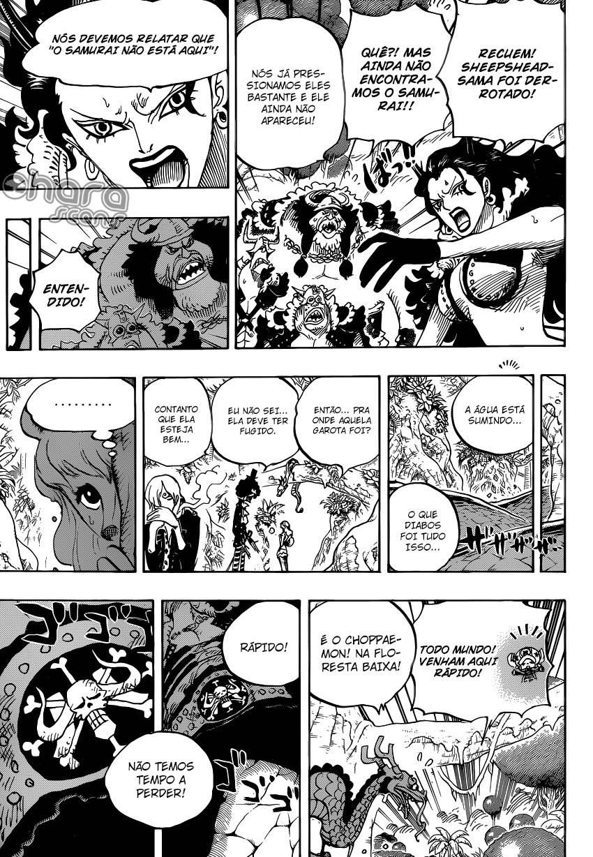 One Piece capítulo 795 página 11