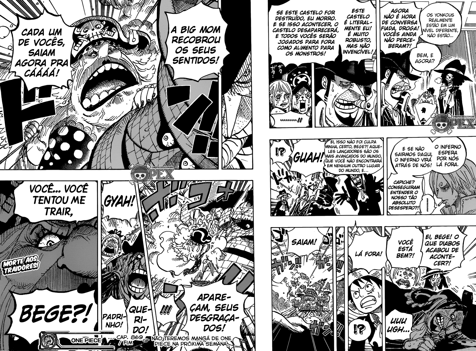 One Piece capítulo 869 página 17