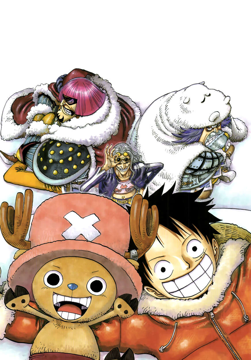 One Piece capítulo 609 página 20