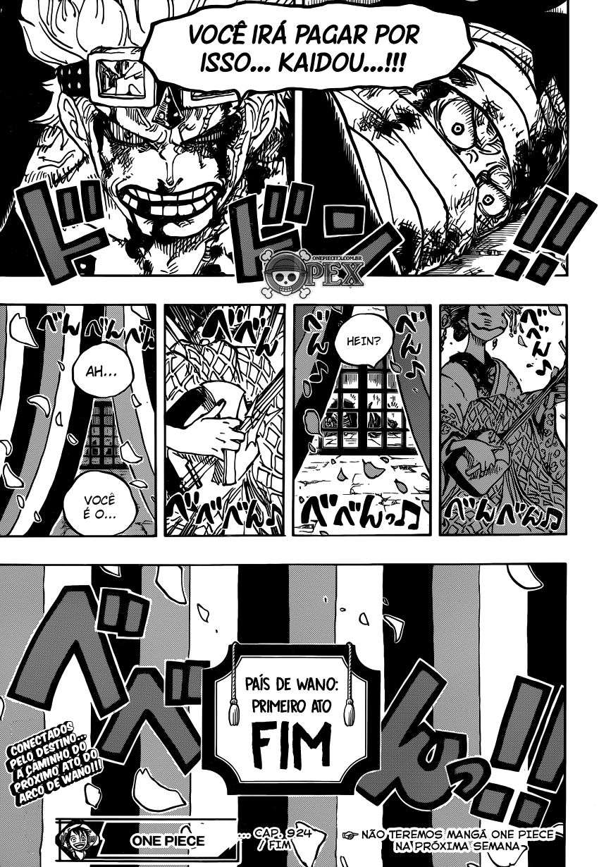 One Piece capítulo 924 página 15