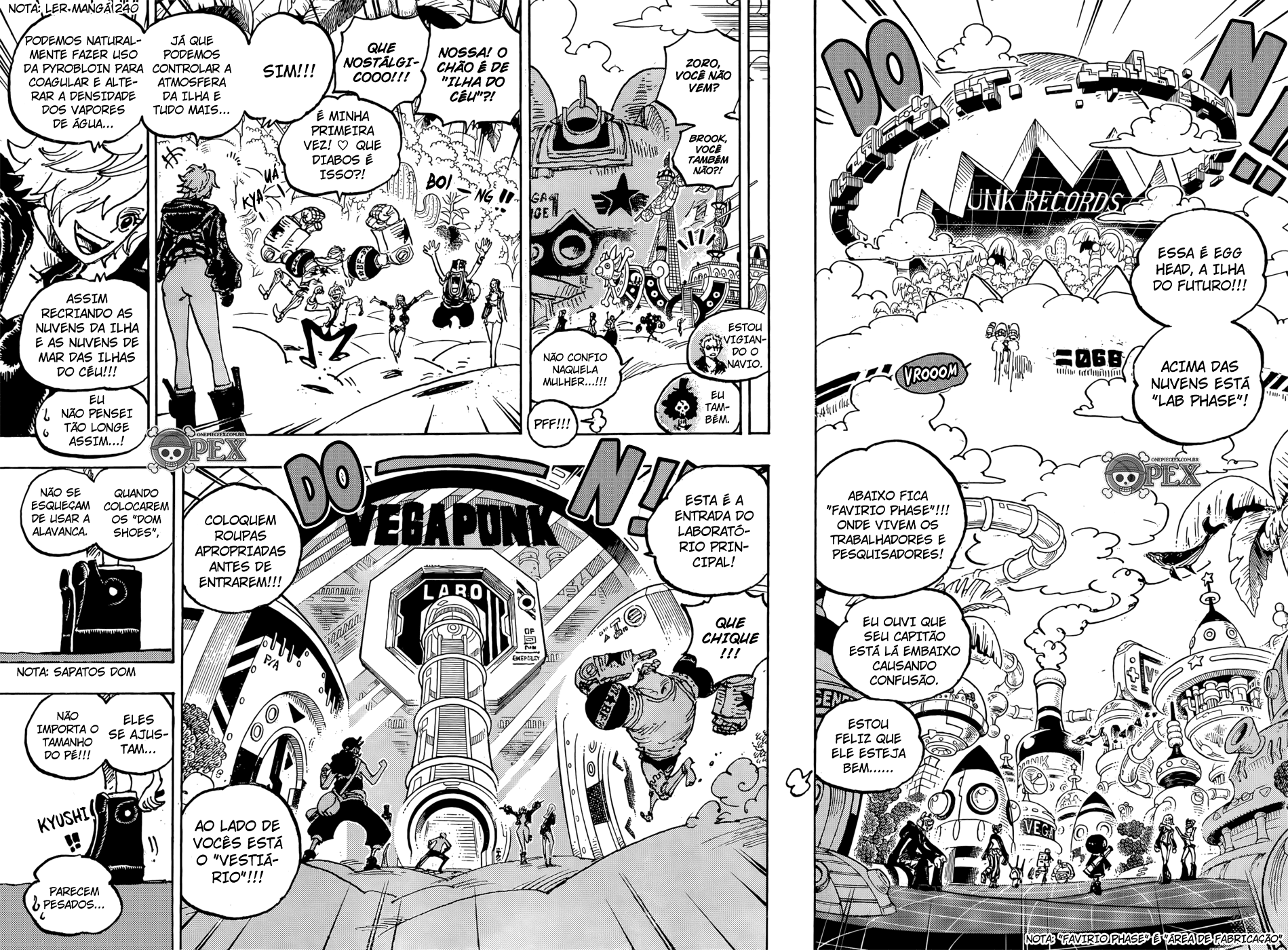 One Piece capítulo 1064 página 13