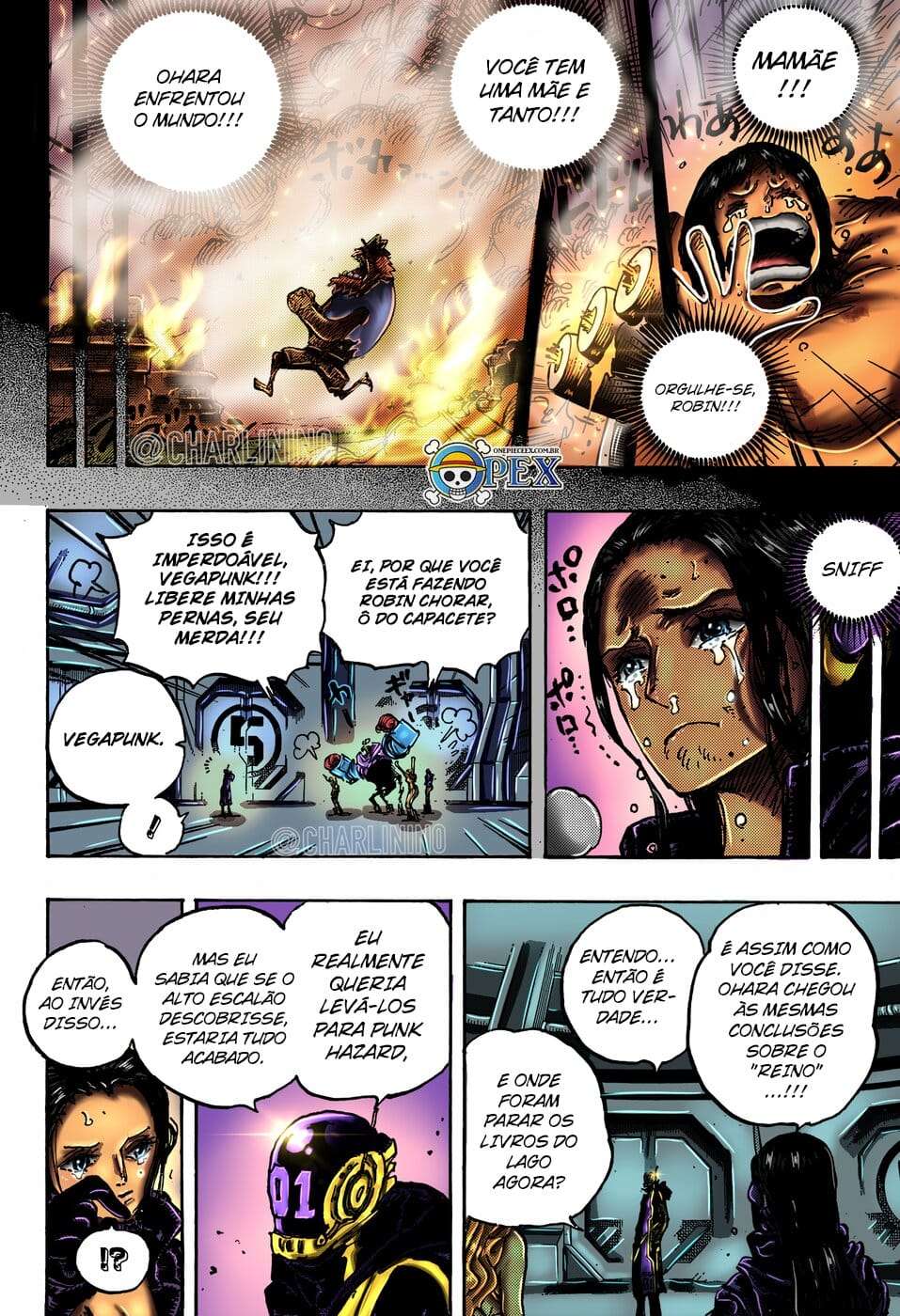 One Piece capítulo 1066 página 16