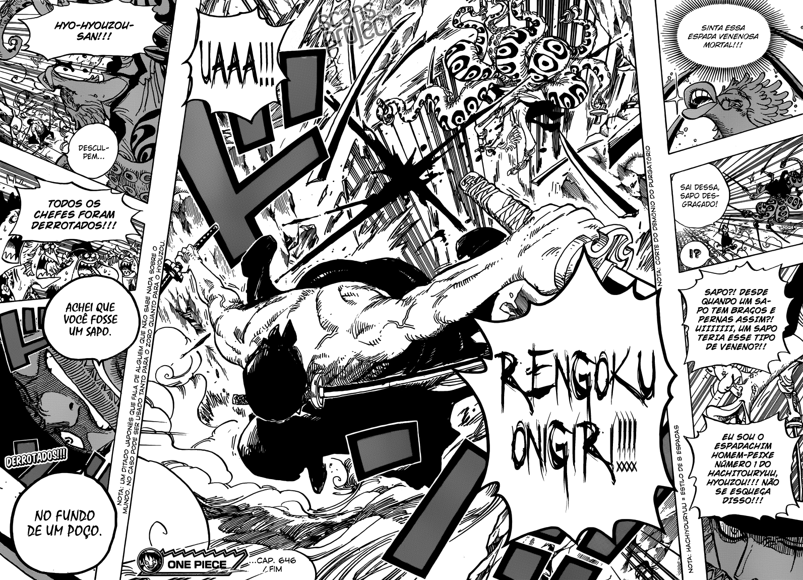 One Piece capítulo 646 página 13