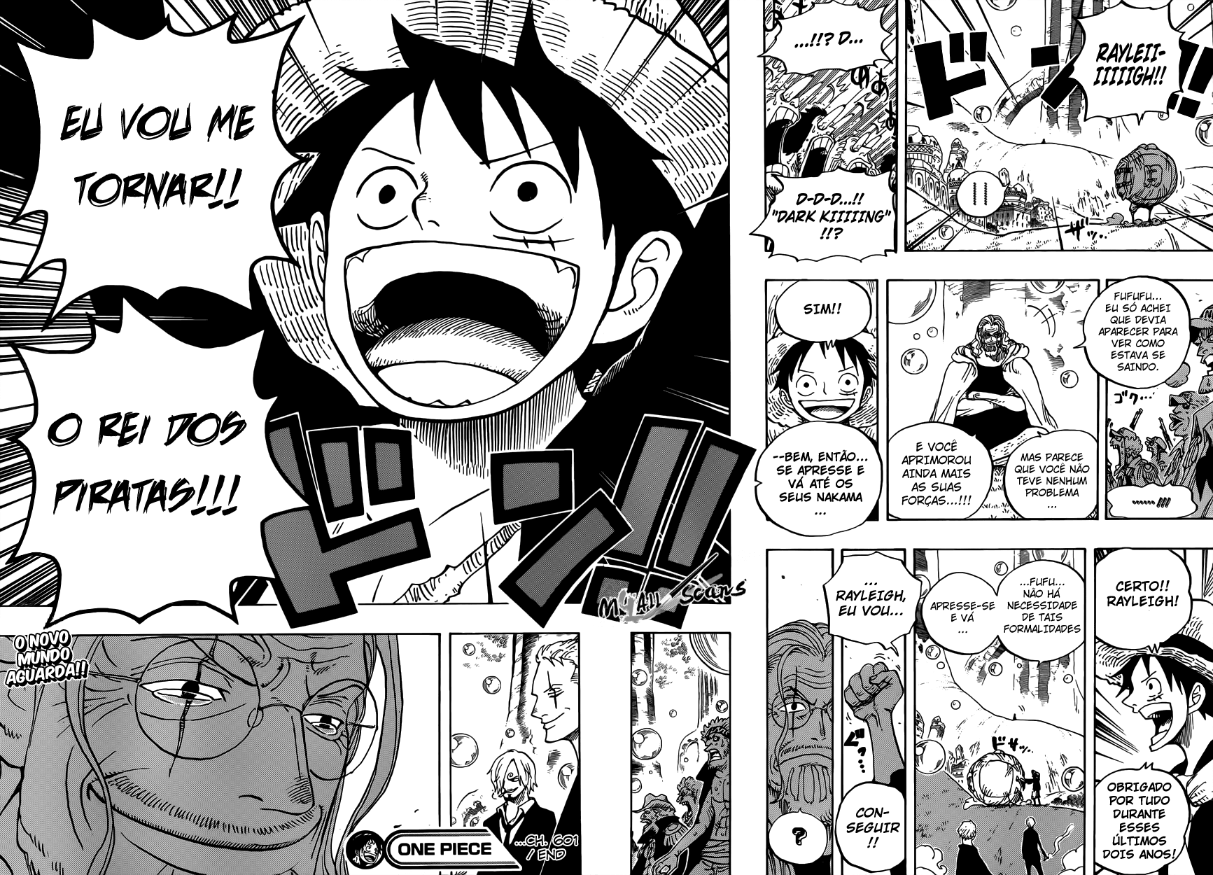 One Piece capítulo 601 página 16