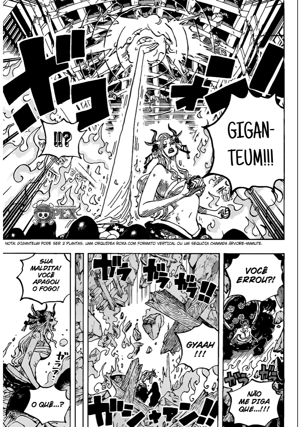 One Piece capítulo 1021 página 12