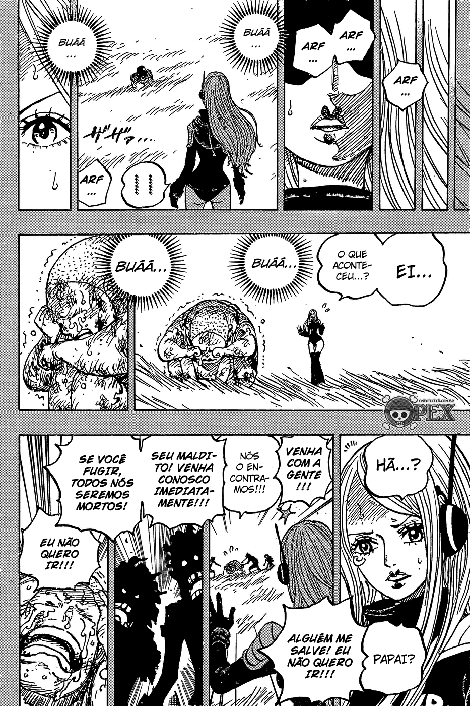 One Piece capítulo 1074 página 11