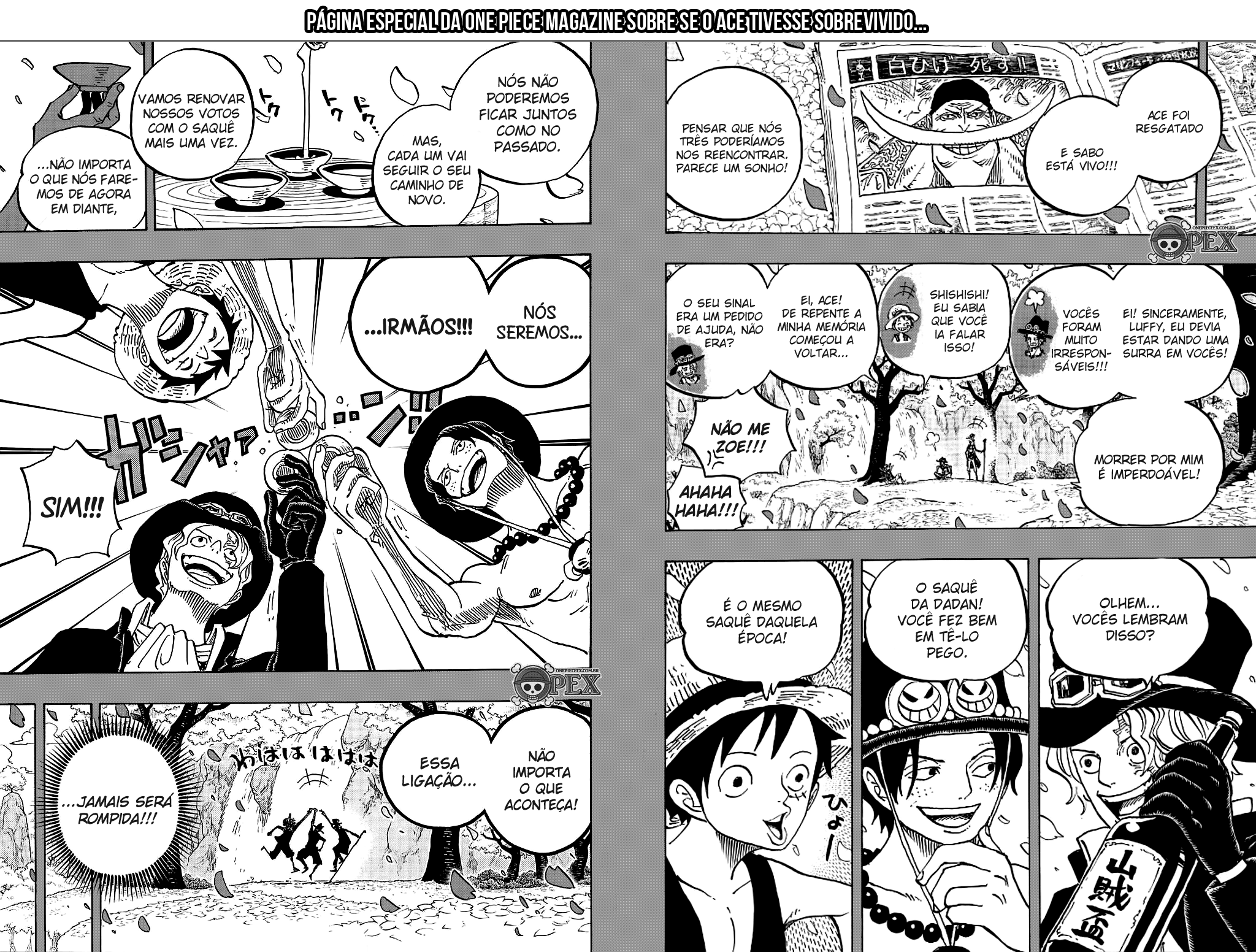 One Piece capítulo 874 página 4