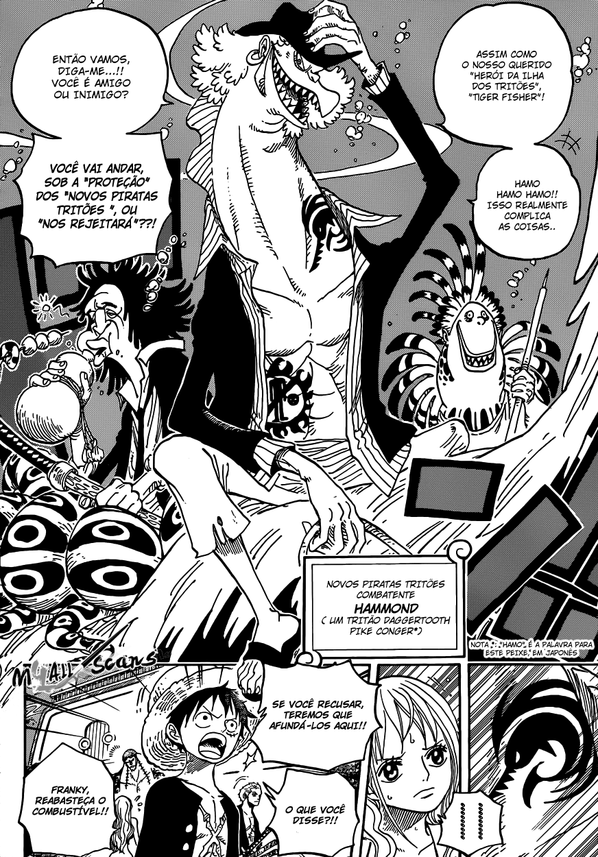 One Piece capítulo 607.10 página 13