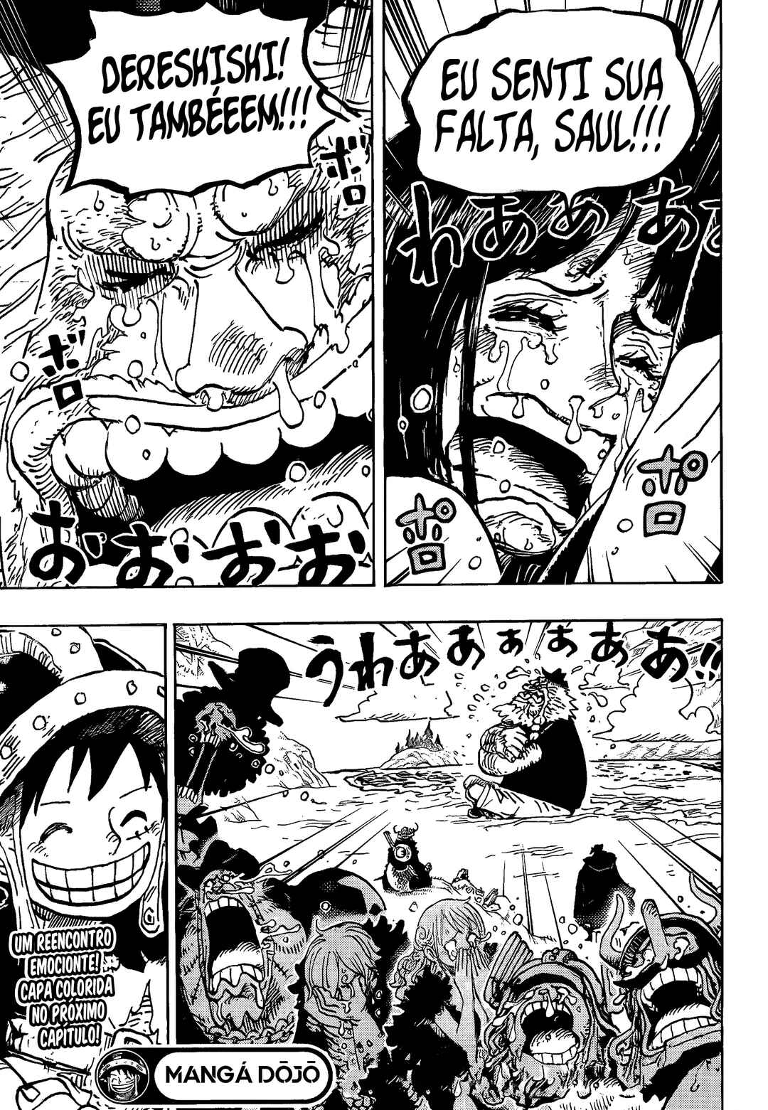 One Piece capítulo 1133 página 16