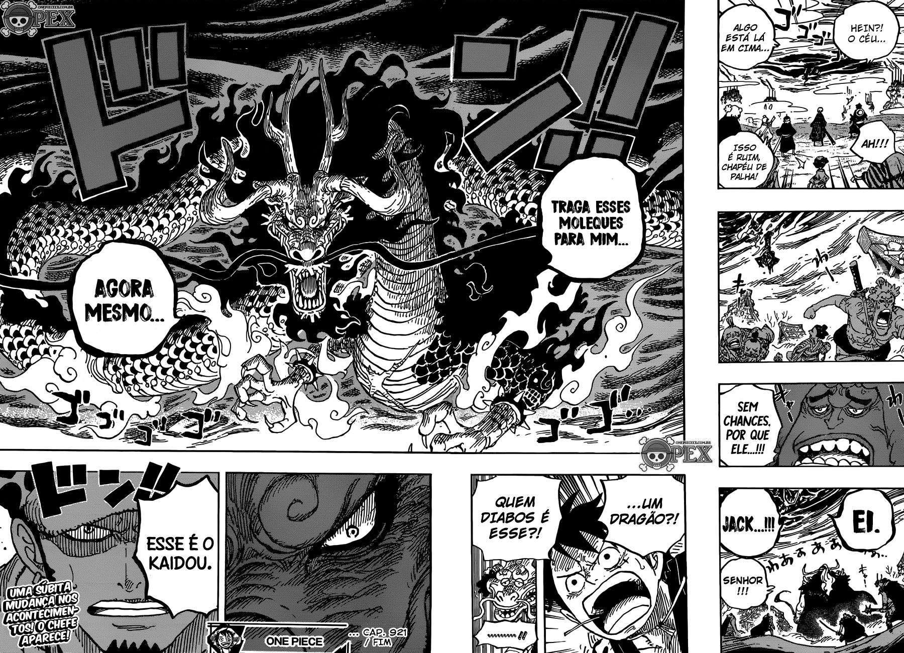 One Piece capítulo 921 página 18