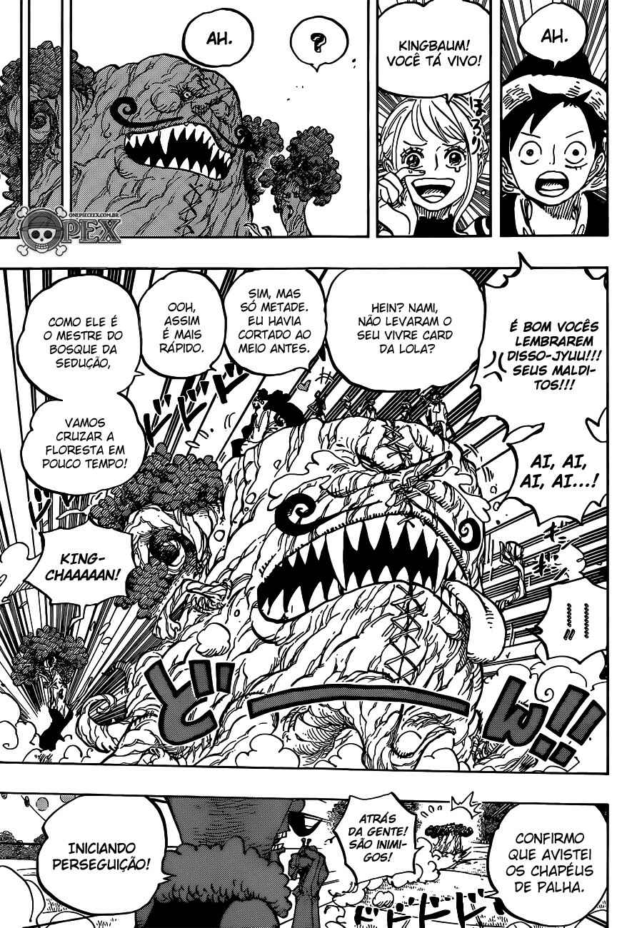 One Piece capítulo 873 página 14