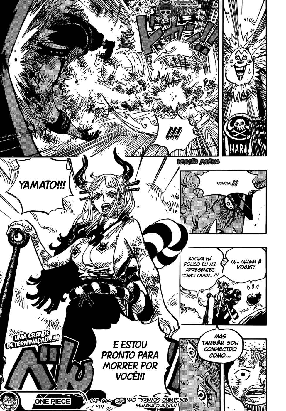 One Piece capítulo 994 página 16