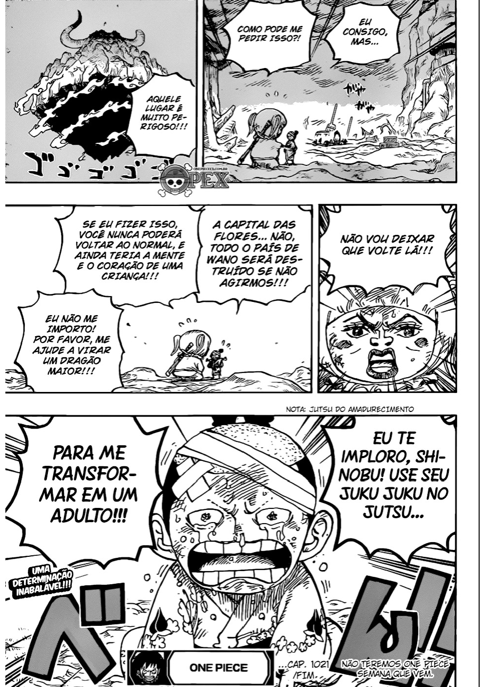 One Piece capítulo 1021 página 16