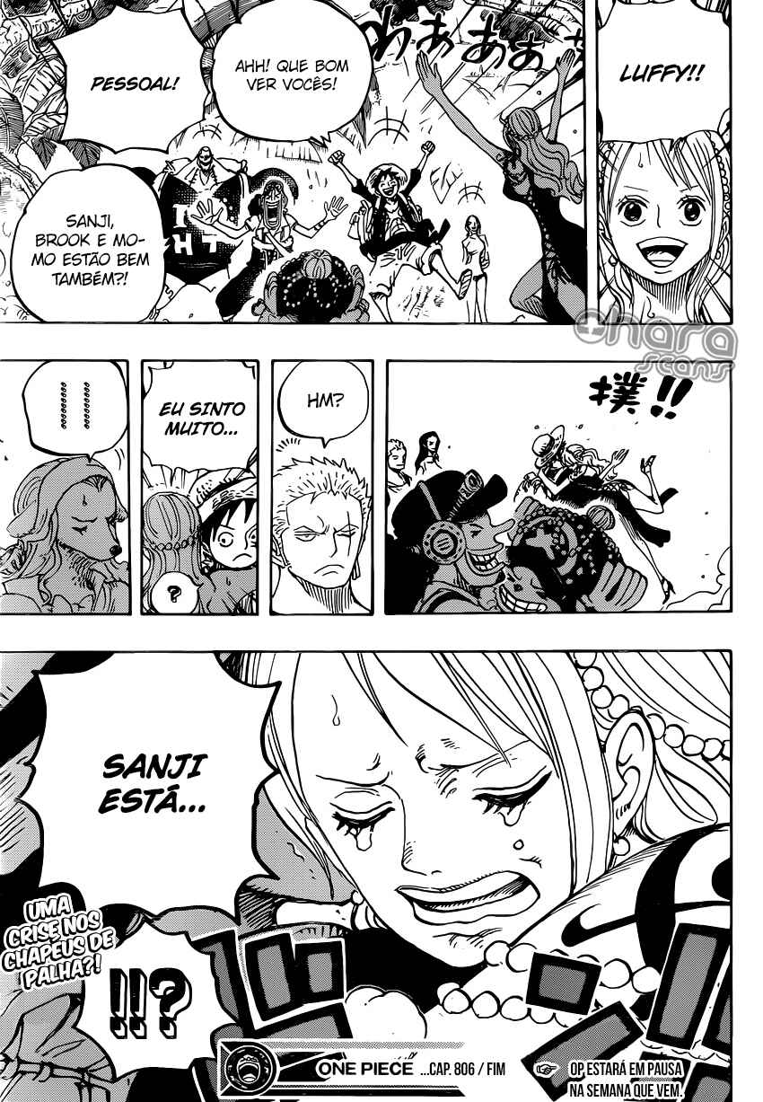 One Piece capítulo 806 página 17