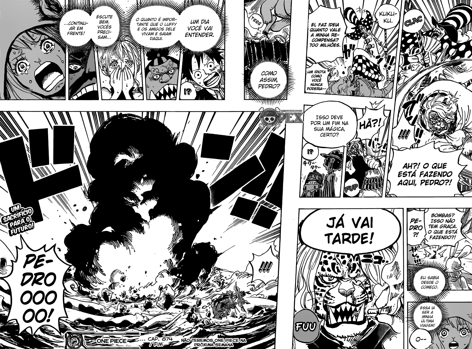 One Piece capítulo 877 página 16