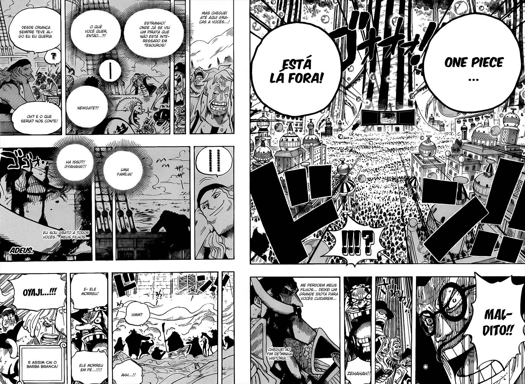 One Piece capítulo 576 página 13
