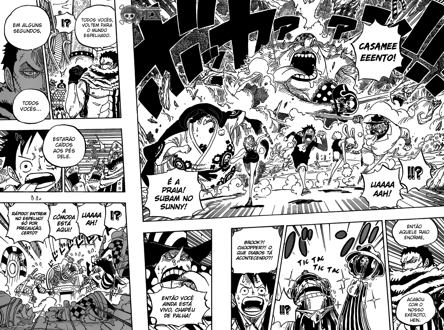 One Piece capítulo 877 página 7