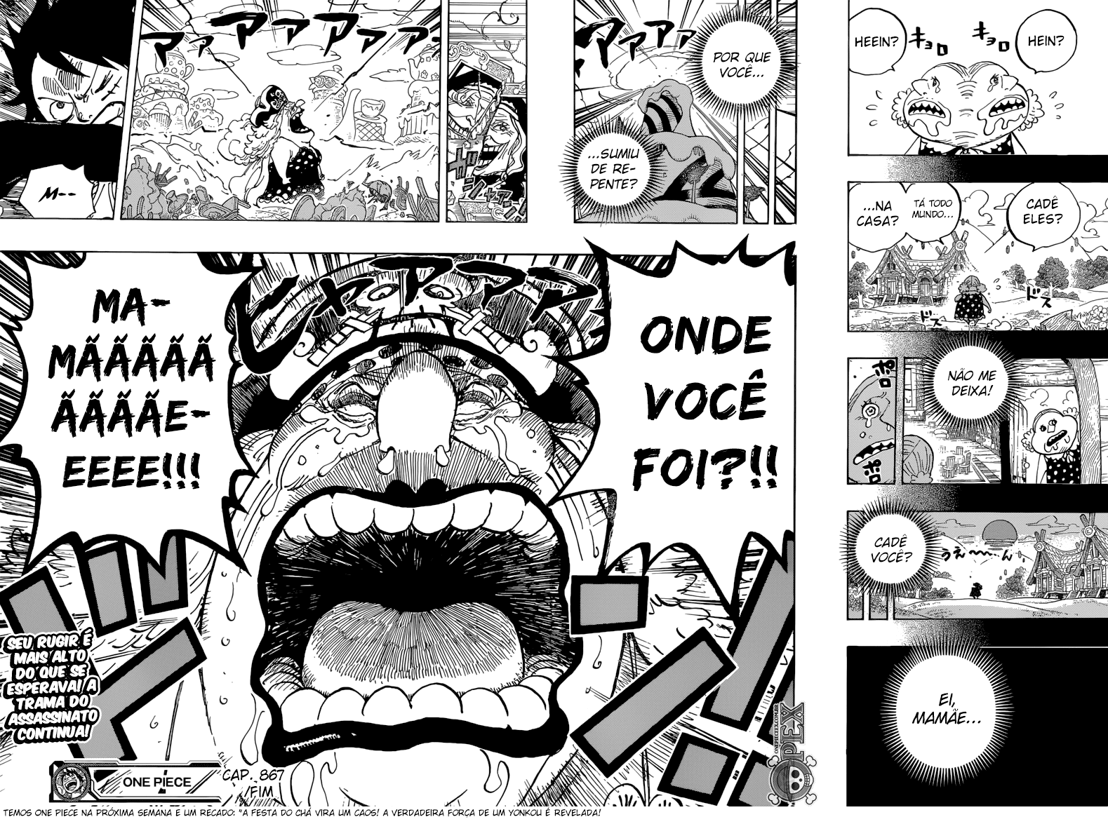 One Piece capítulo 867 página 15