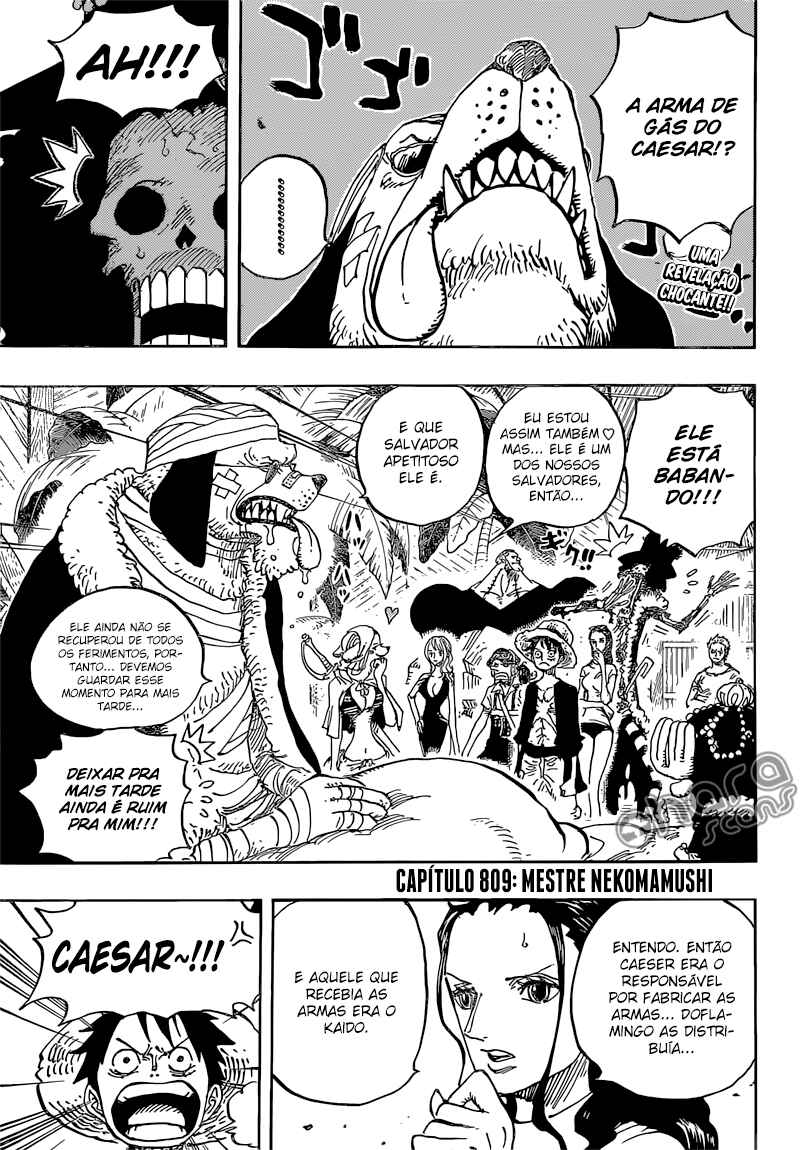 One Piece capítulo 809 página 4