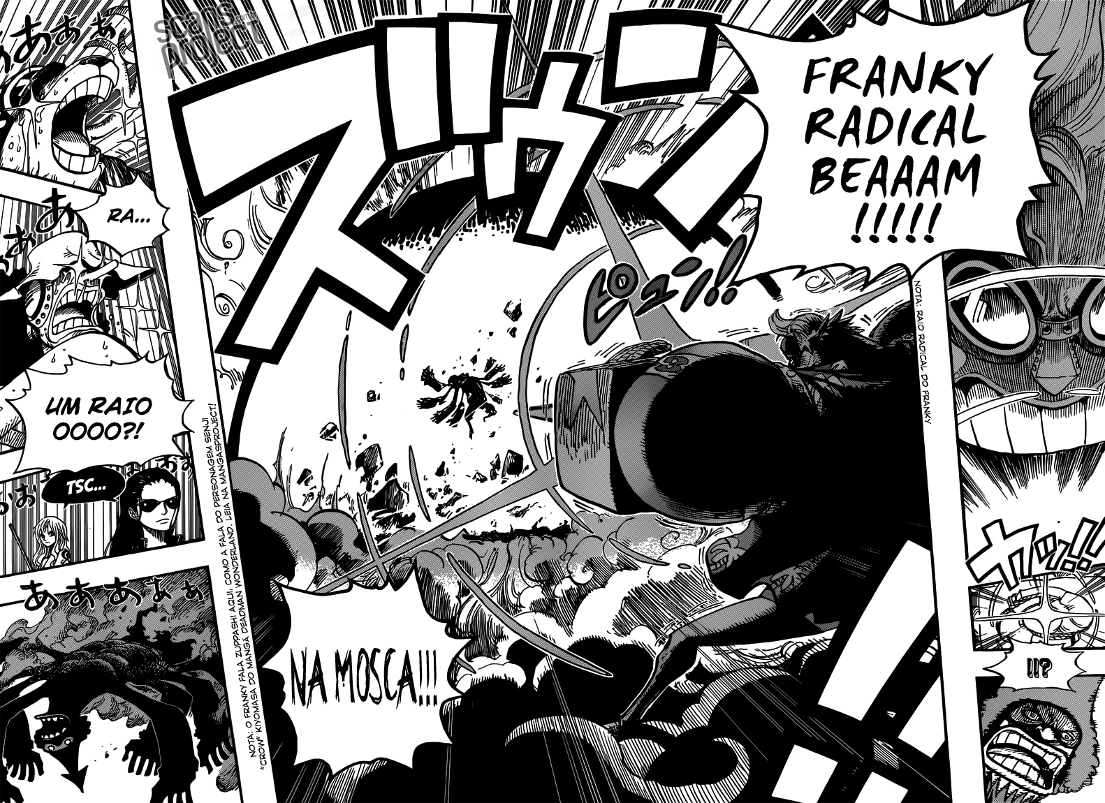 One Piece capítulo 646 página 10