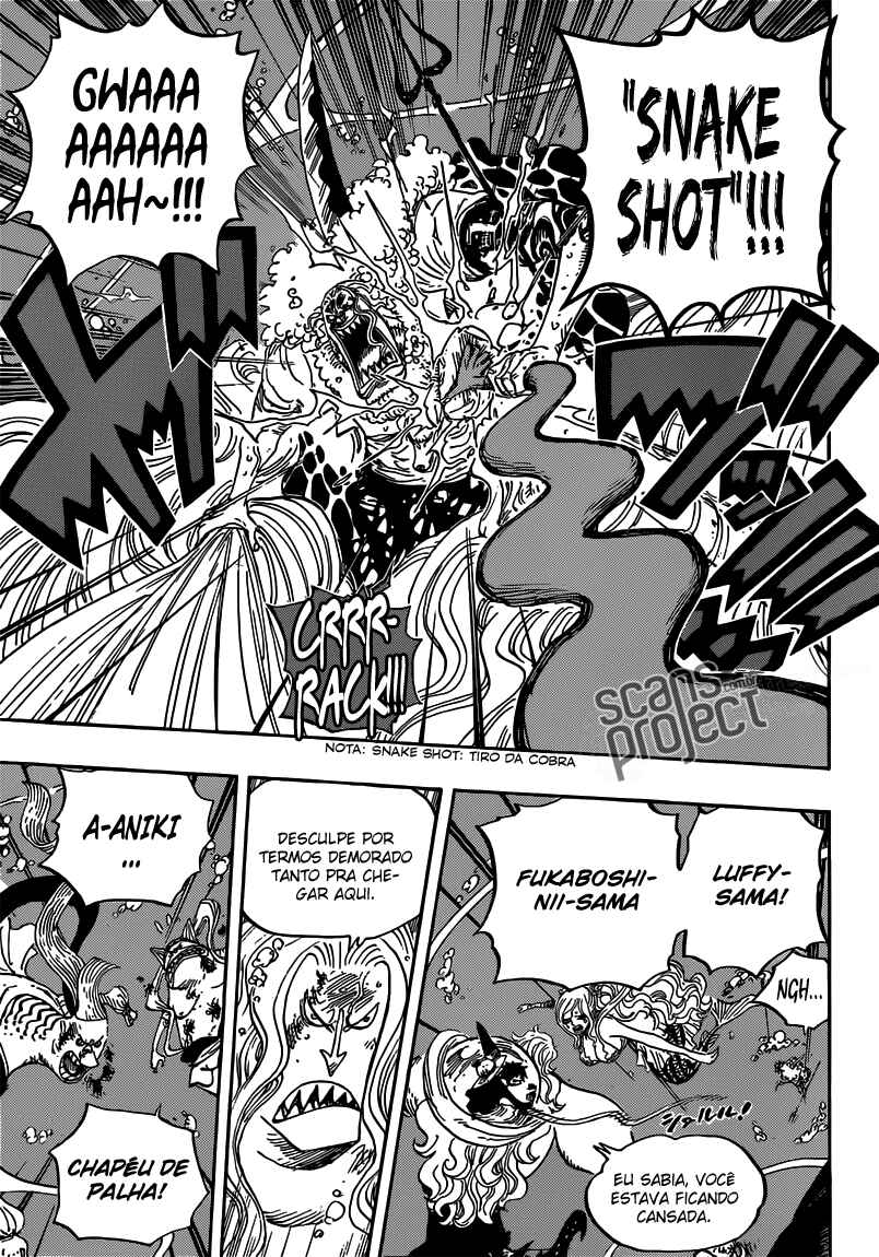 One Piece capítulo 639 página 10