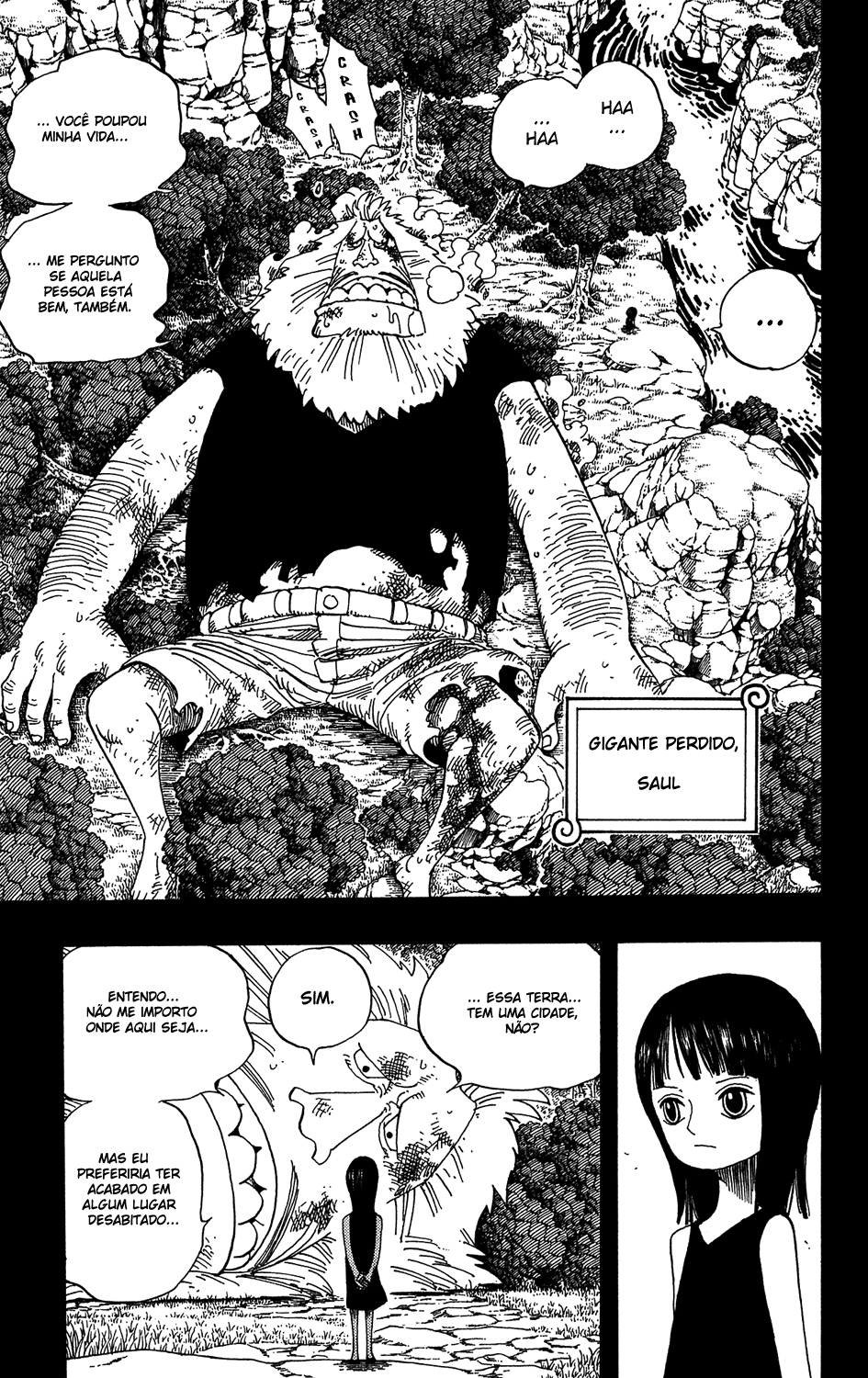 One Piece capítulo 392 página 11