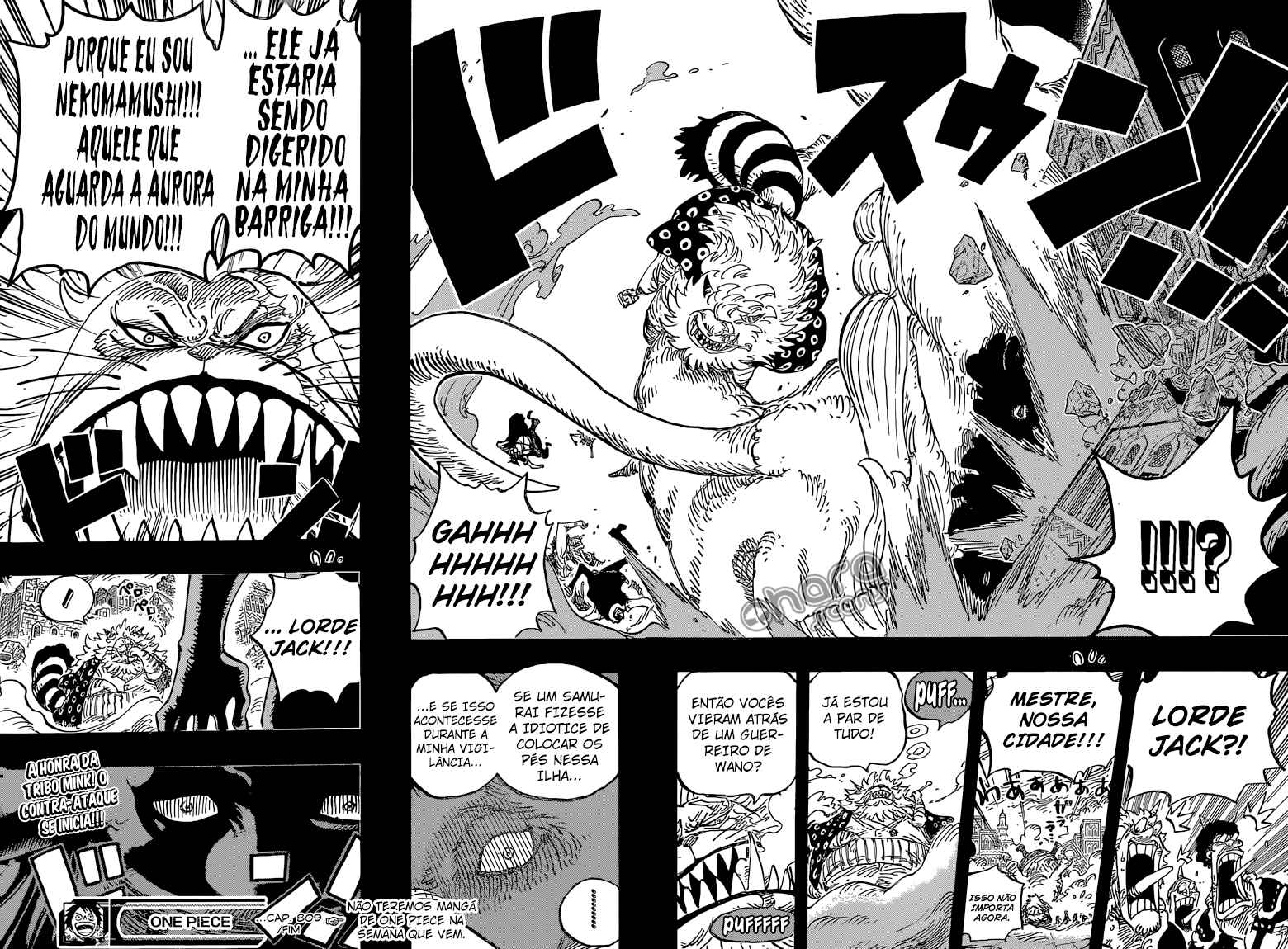 One Piece capítulo 809 página 17