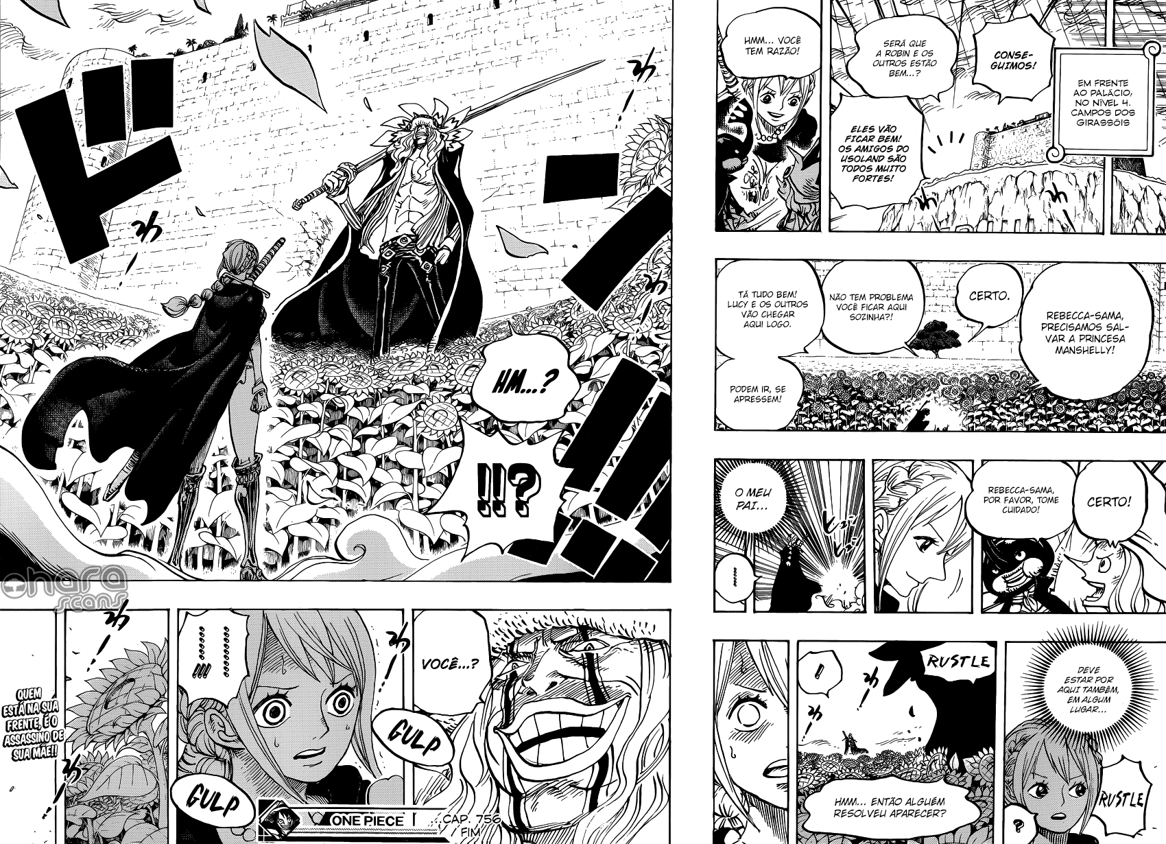 One Piece capítulo 756 página 18