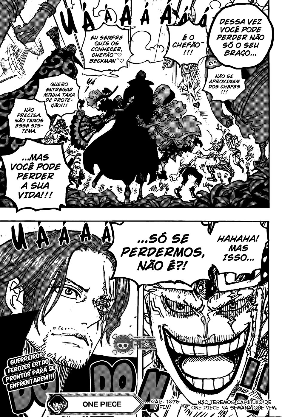 One Piece capítulo 1076 página 15