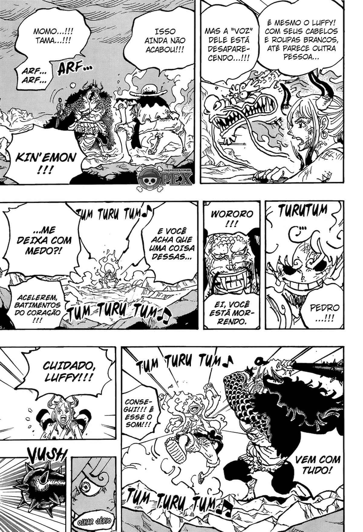 One Piece capítulo 1045 página 14