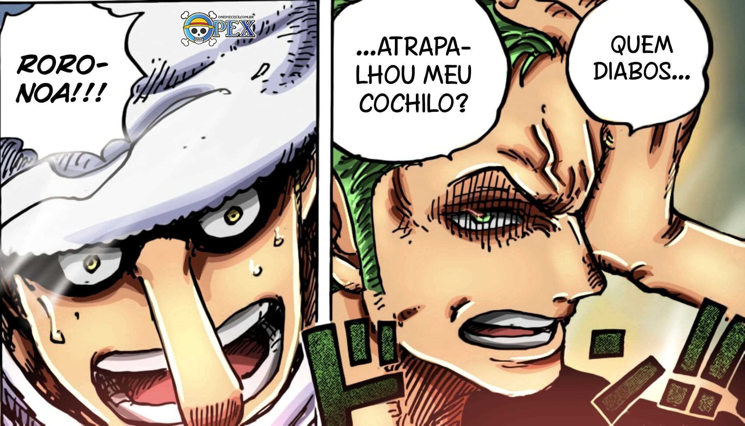 One Piece capítulo 1071 página 16