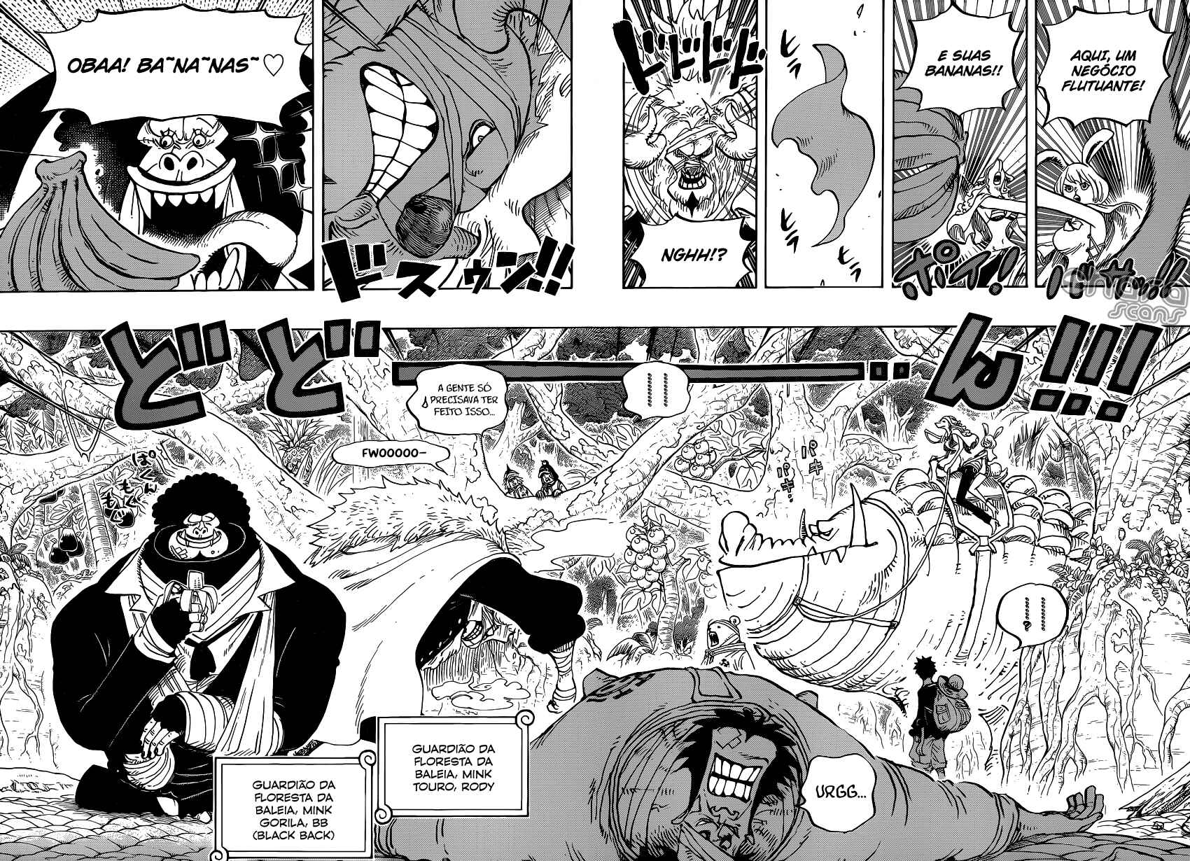 One Piece capítulo 805 página 11