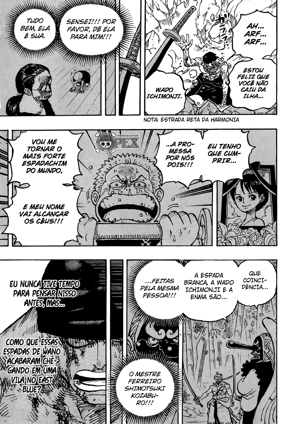 One Piece capítulo 1033 página 9