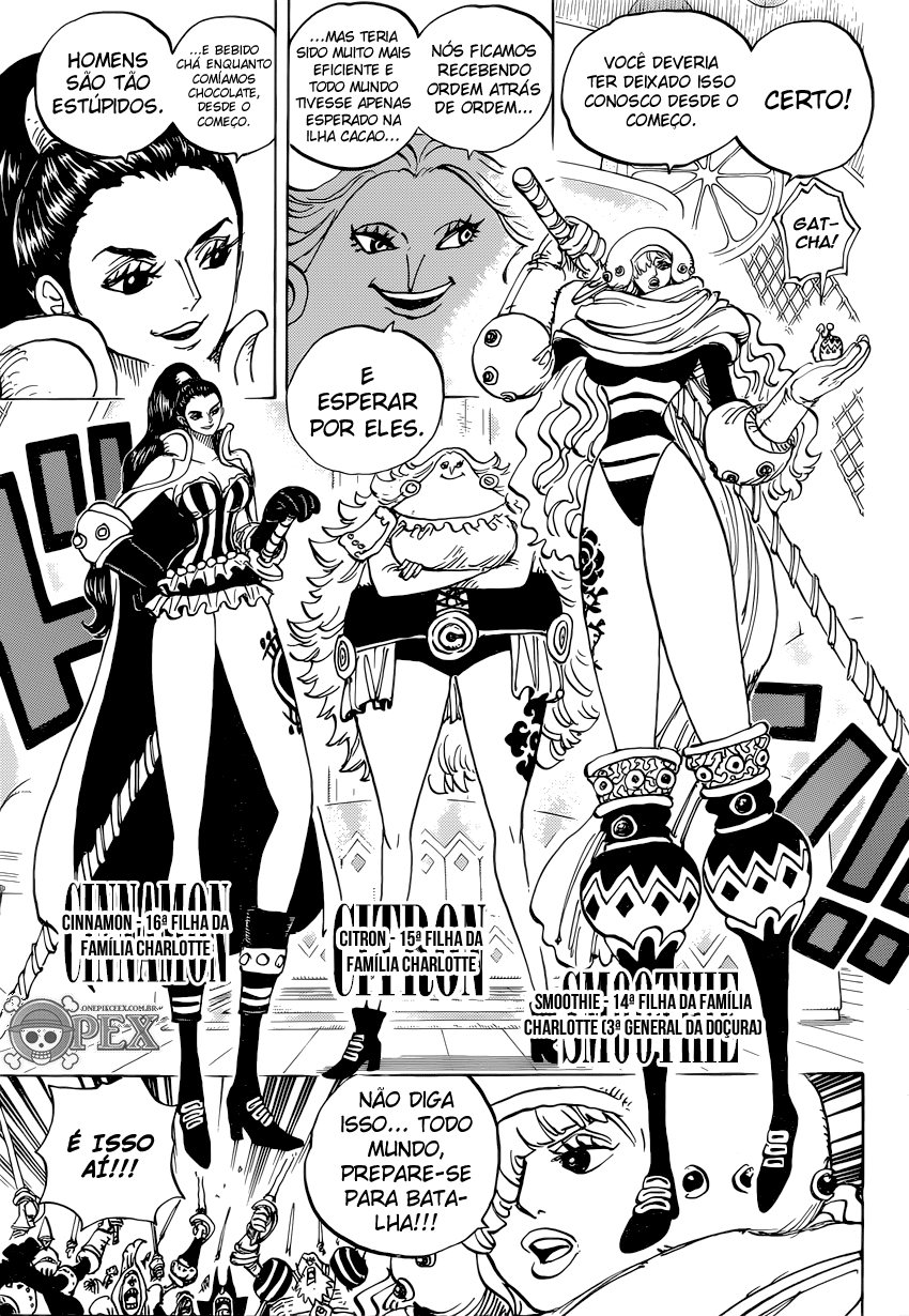 One Piece capítulo 892 página 12