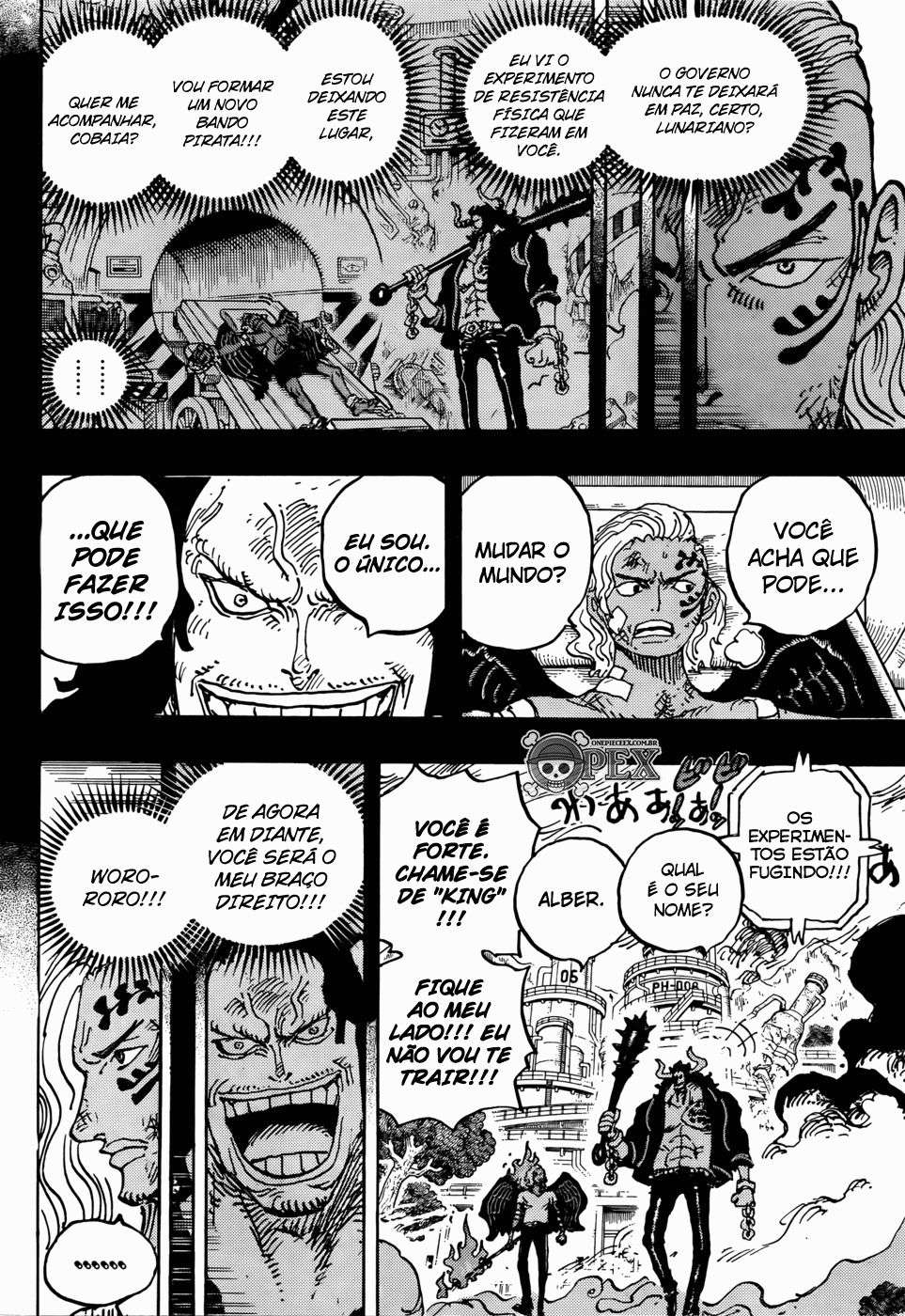 One Piece capítulo 1035 página 11