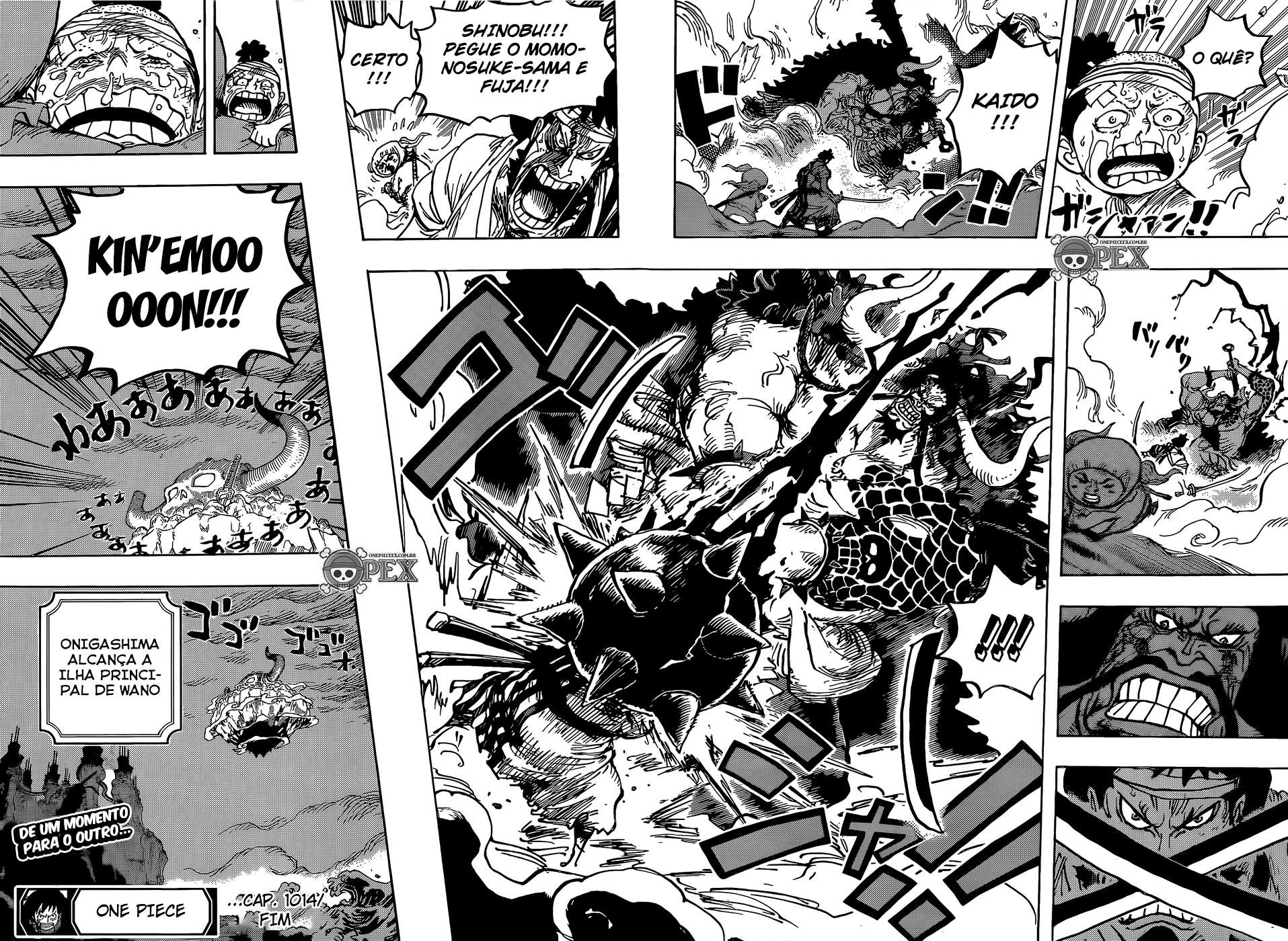 One Piece capítulo 1014 página 14