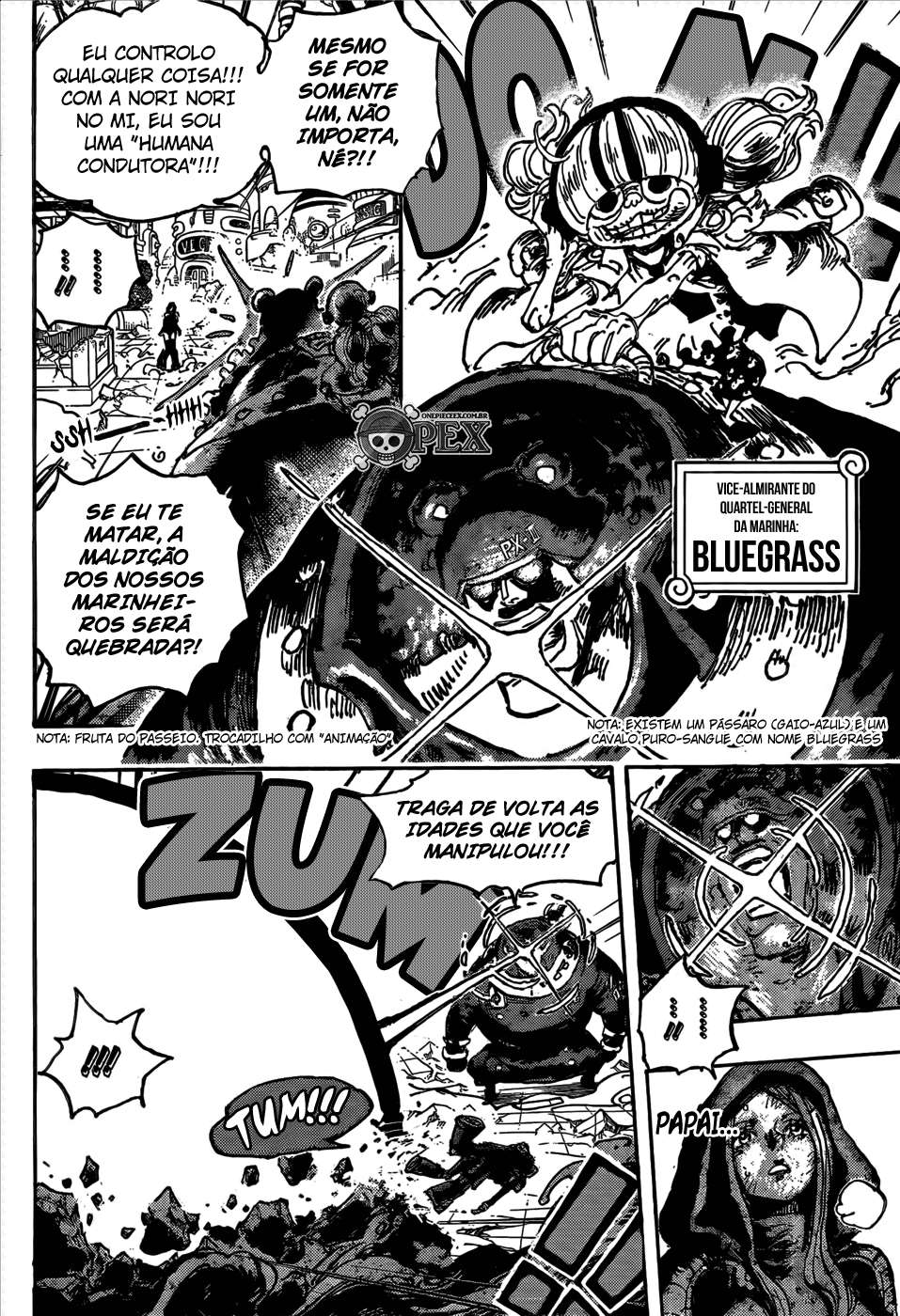 One Piece capítulo 1094 página 8