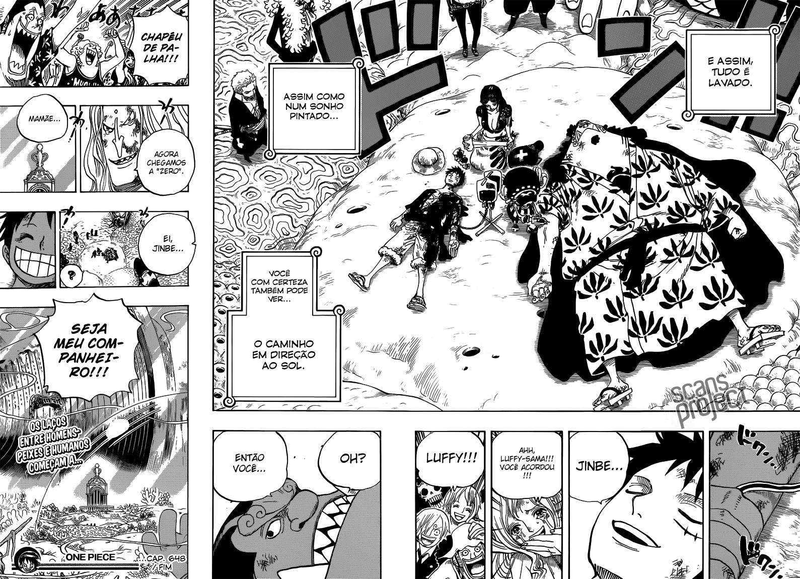 One Piece capítulo 648 página 18