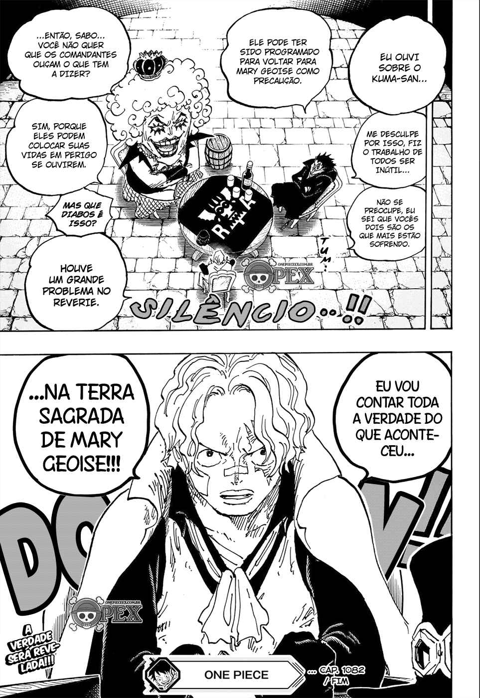 One Piece capítulo 1082 página 14