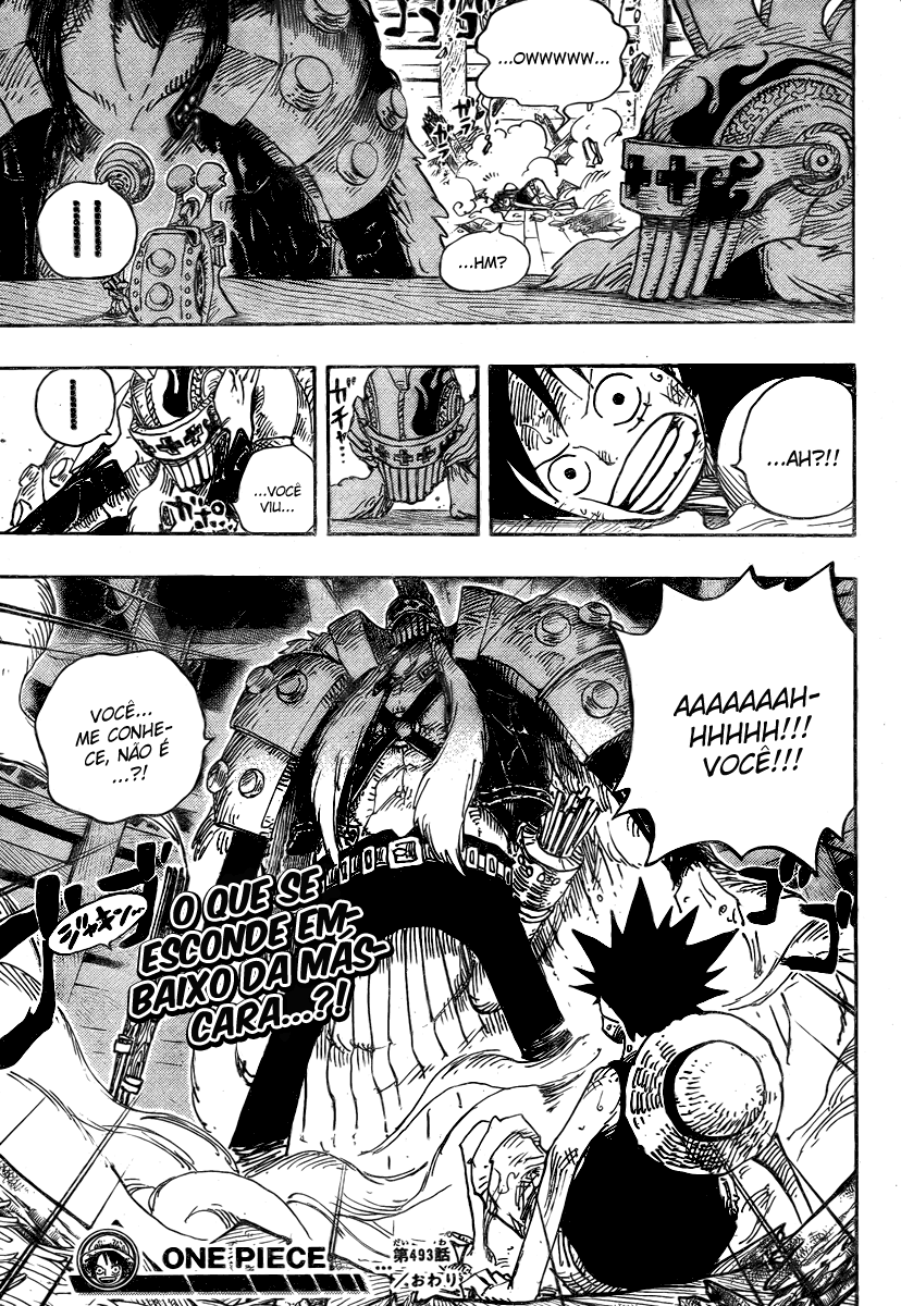 One Piece capítulo 493 página 19