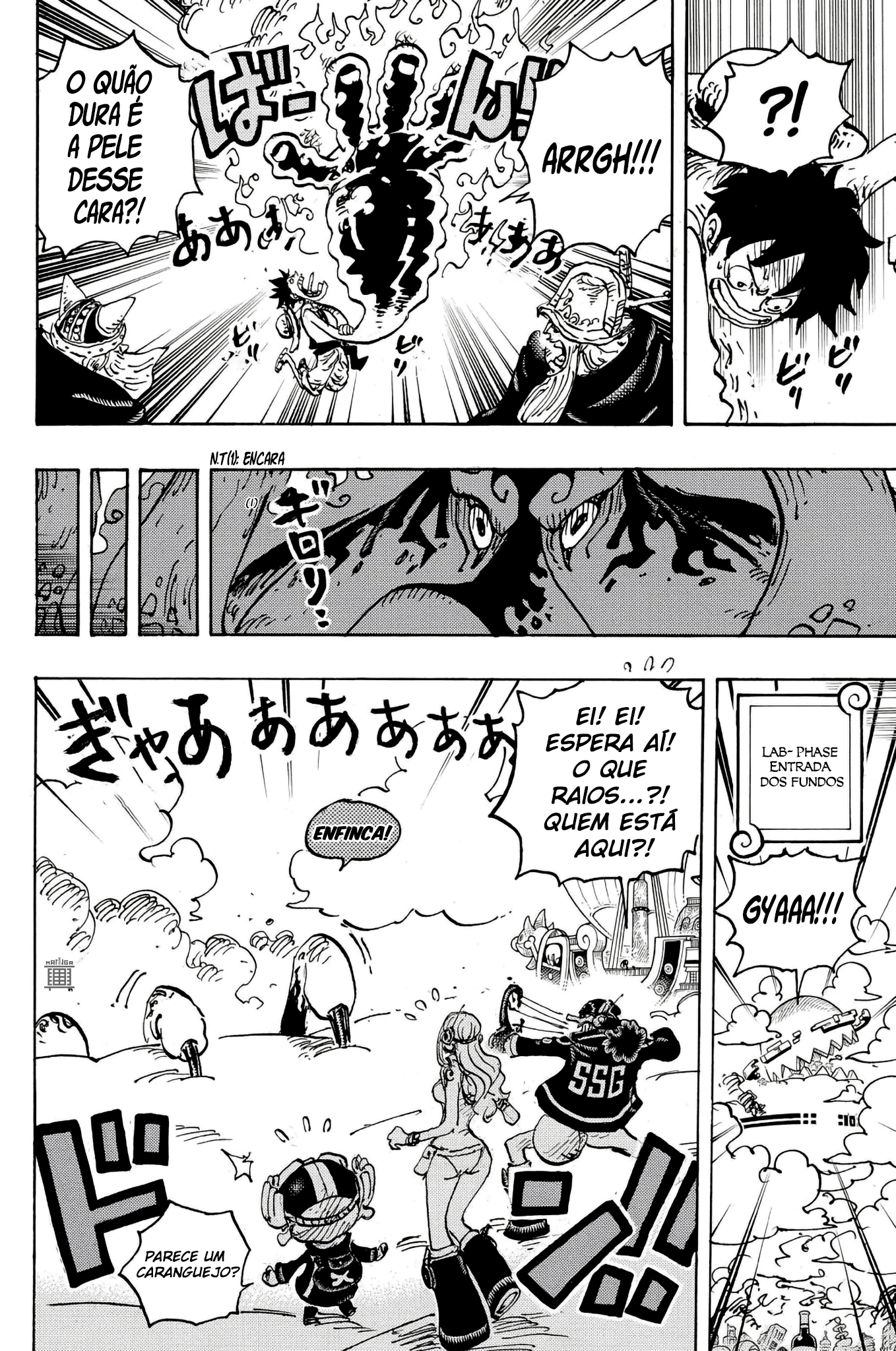 One Piece capítulo 1112 página 13