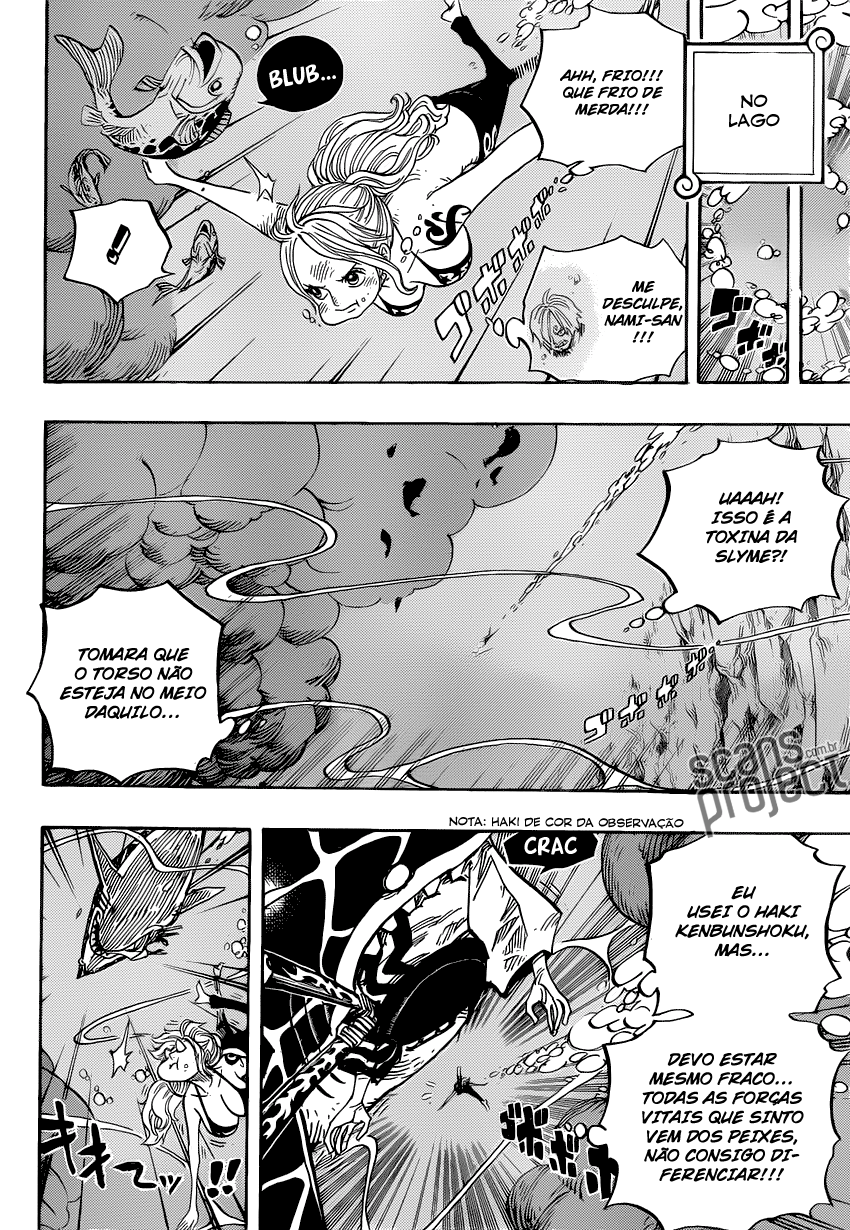 One Piece capítulo 672 página 11