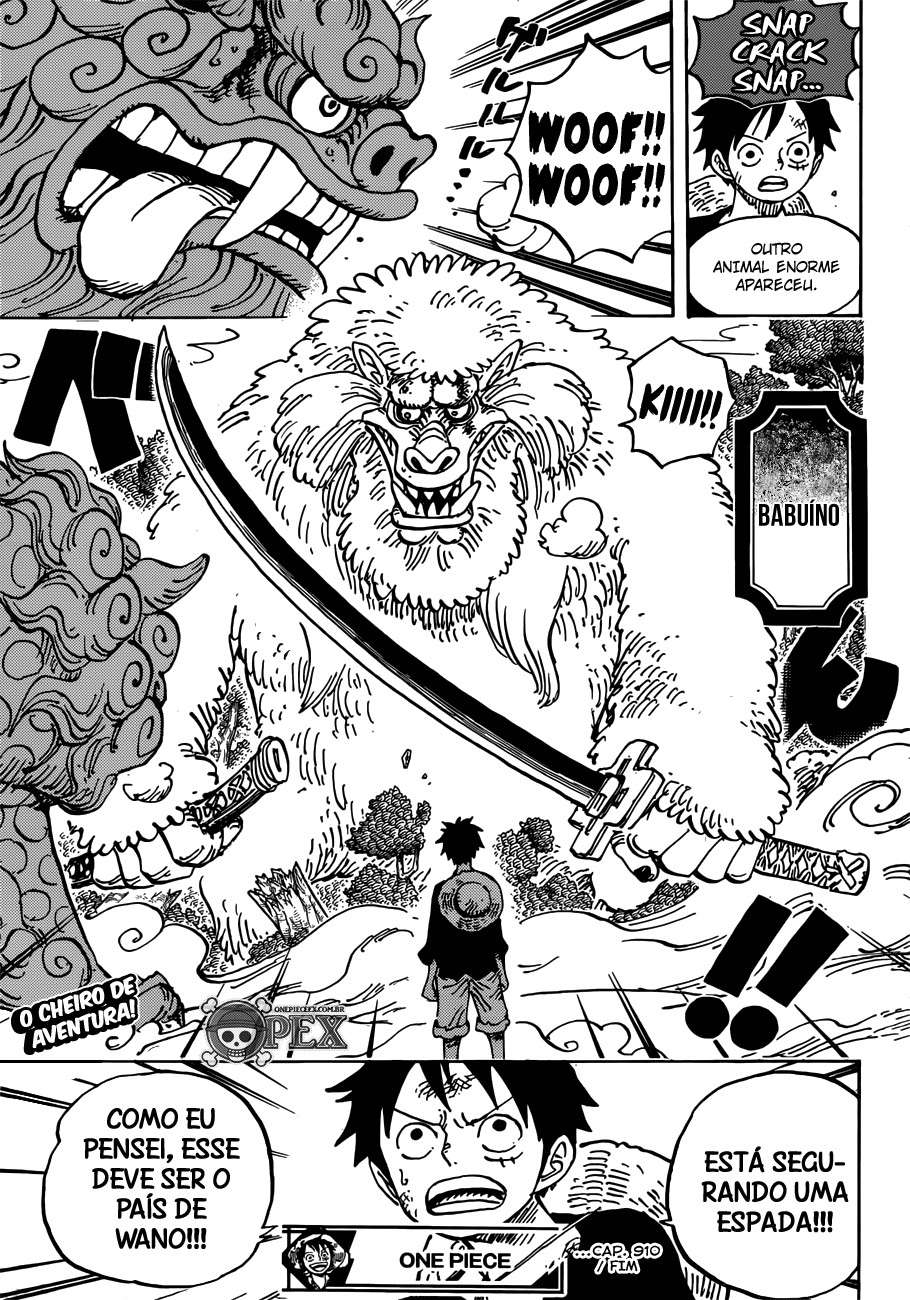 One Piece capítulo 910 página 13