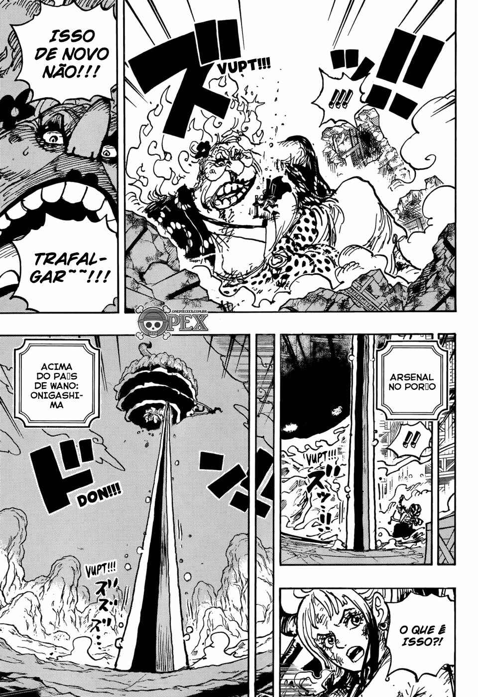 One Piece capítulo 1039 página 12