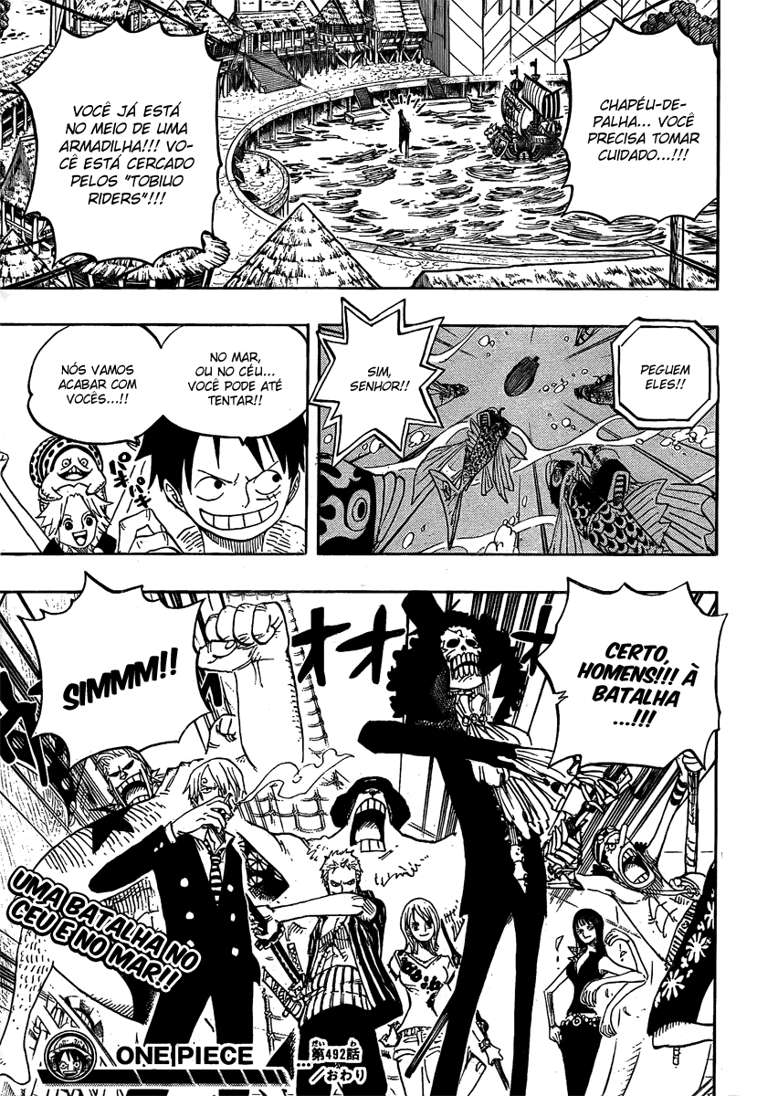 One Piece capítulo 492 página 19